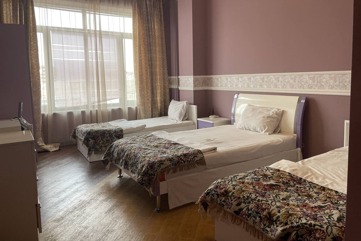 Panoramic Room | Hypo-allergenic bedding, desk, laptop workspace, free WiFi