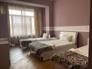 Panoramic Room | 1 bedroom, hypo-allergenic bedding, individually decorated