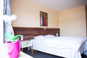 Habitación básica | 1 habitación y wifi gratis