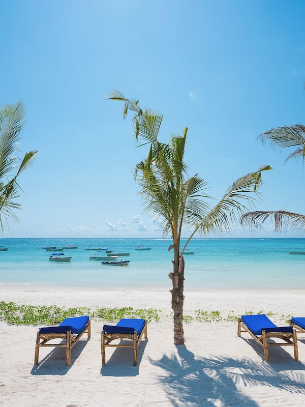 在海滩、白沙、间海滩酒吧