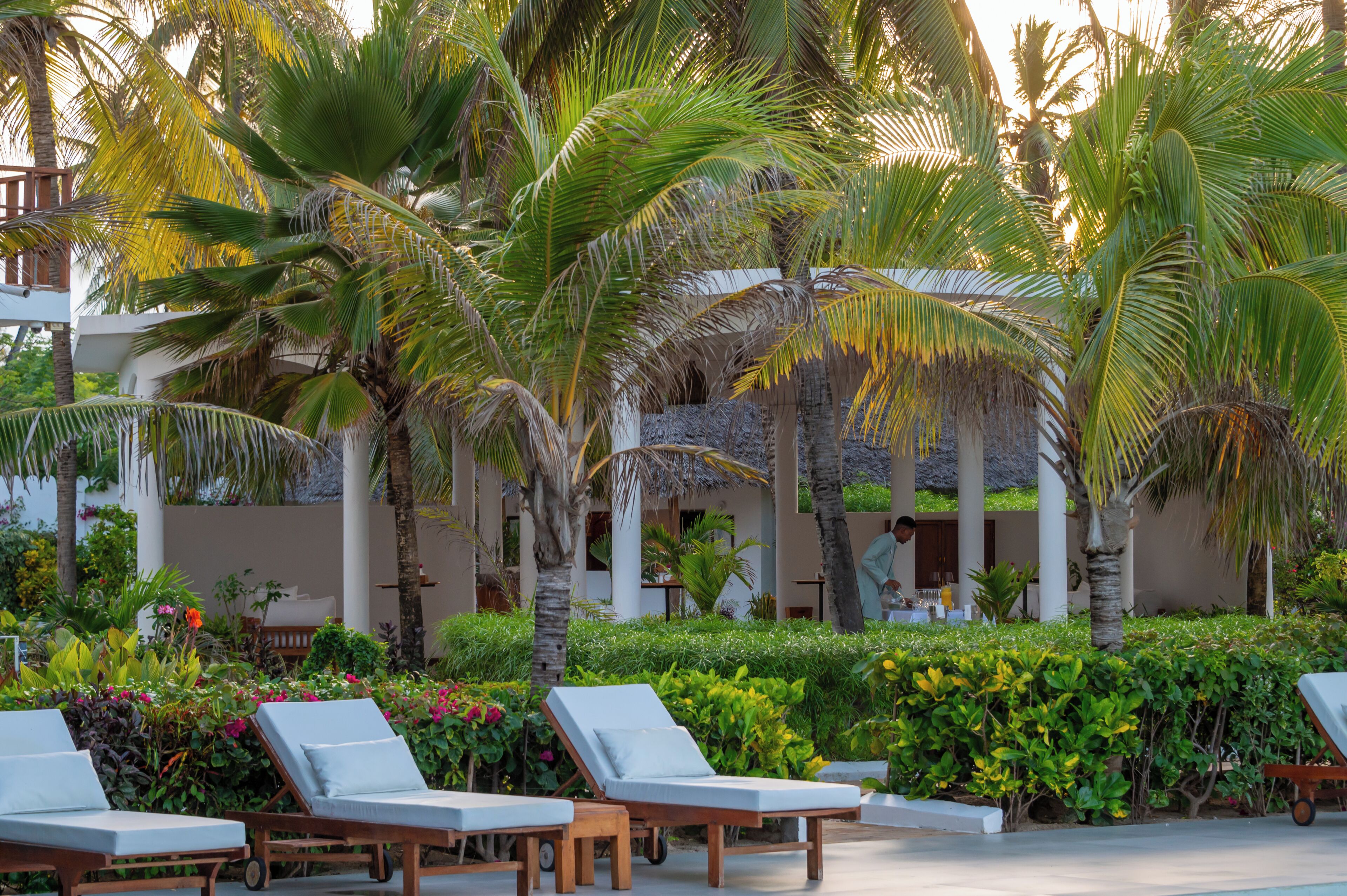 A resort with palm trees, lounge chairs, and a pool area.