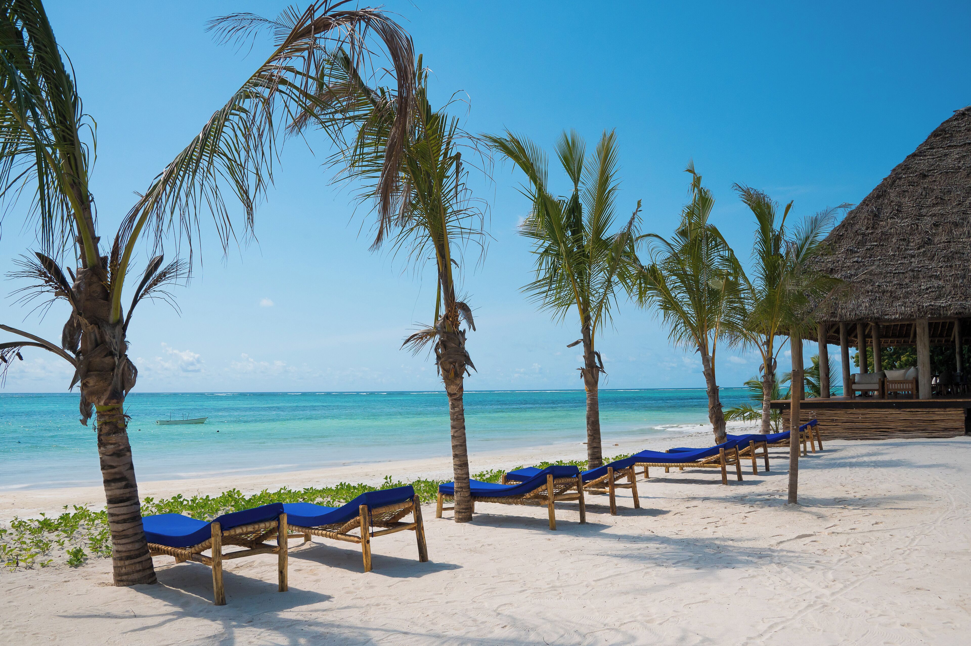 A beach with rows of wooden lounge chairs and palm trees, a thatched-roof structure, and a clear blue sky.