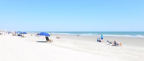 On the beach