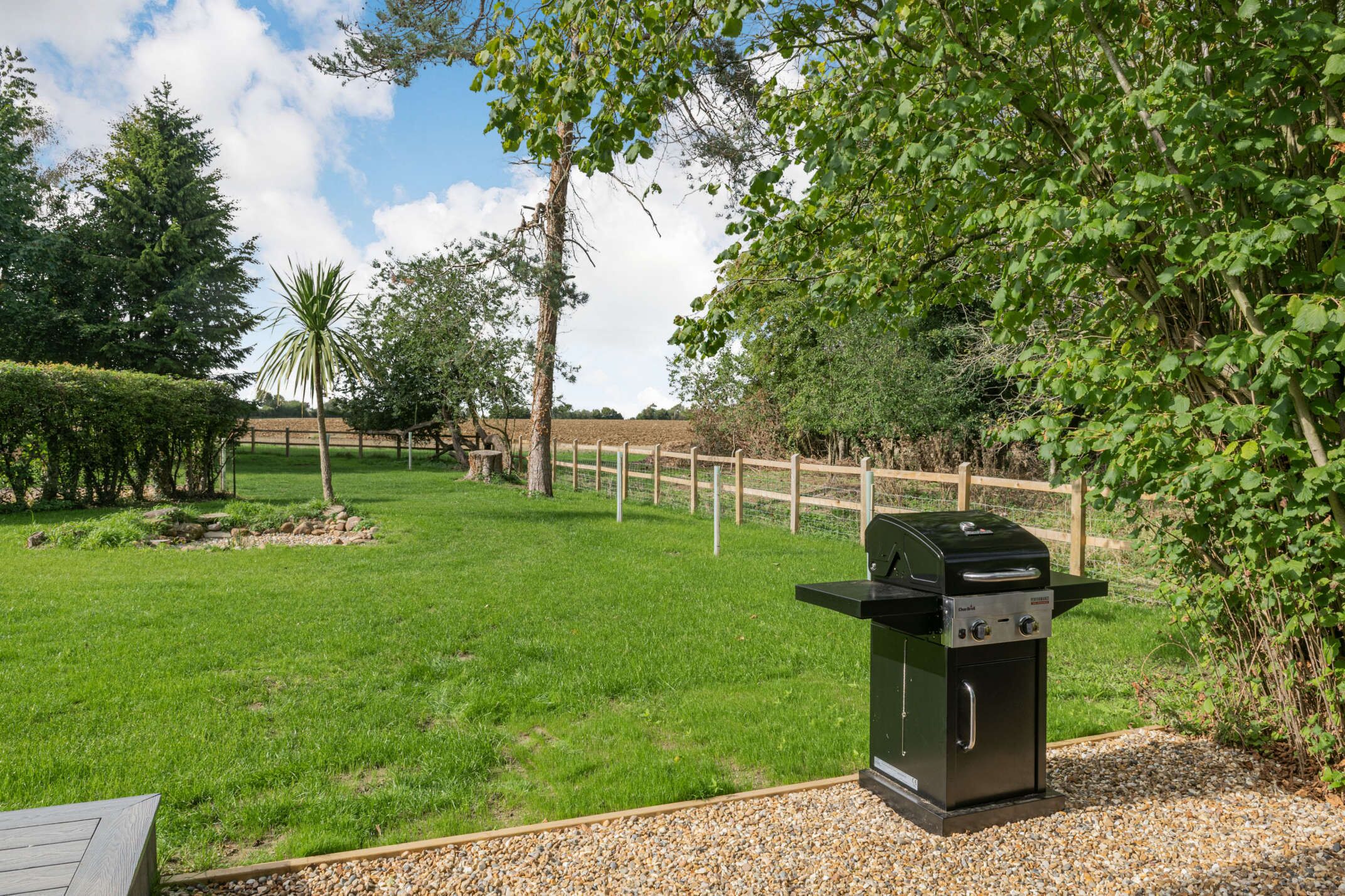 A backyard with a barbecue grill, a wooden fence, and a variety of trees and shrubs.