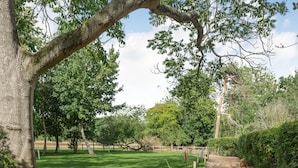 Un parque con un sendero de tierra, césped verde y árboles.