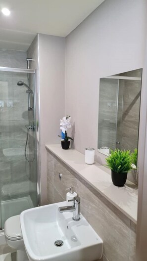 Shower, hair dryer, towels, soap