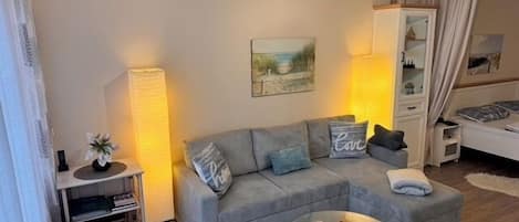 تلفزيون، مشغل دي في دي، ستيريو