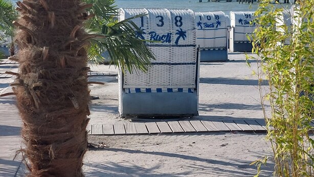 Una playa con una palmera, un pasillo de madera y cabañas identificadas con números.