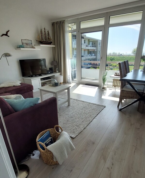 تلفزيون، مشغل دي في دي، ستيريو