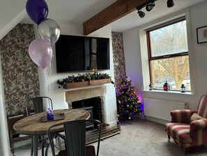 Televisor, llar de foc, reproductor de DVD i llibres 