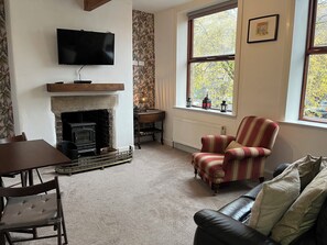 TV, fireplace, DVD player, books