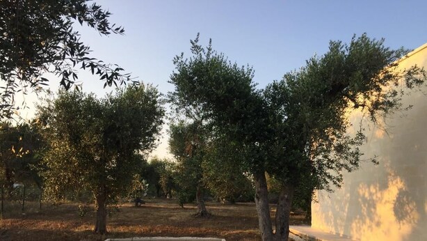 Un chemin de gravier mène à un bâtiment, avec des arbres en arrière-plan.
