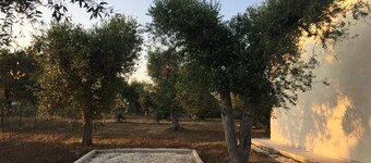 Con gli Olivi Winter Home Holiday - Manduria - Salento