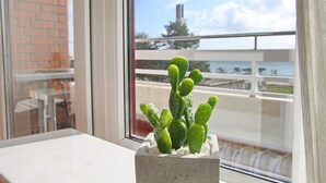 A cactus plant in a concrete pot on a windowsill, with a view of a balcony and a building in the background. - Haus Belvedere App. 75 Wlan Inkl (Grömitz)
