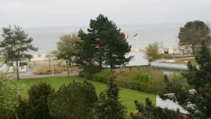 A coastal view with a grassy area, trees, and a building with a flag.