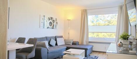 Fernseher, Stereoanlage