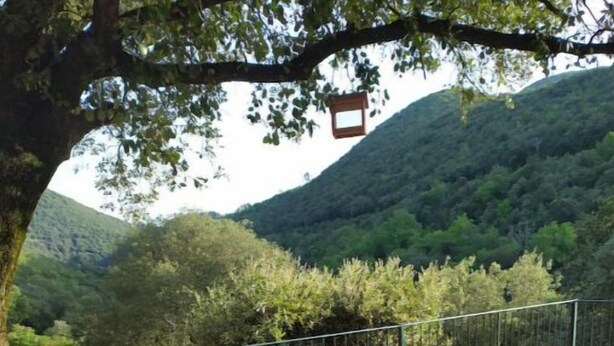 A wooden table set outdoors with a view of a lush valley. - Gîte Cévennes: Piscine, Lamas, Rivière (Cros)