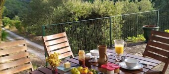 Gîte Cévennes: Piscine, lamas, rivière