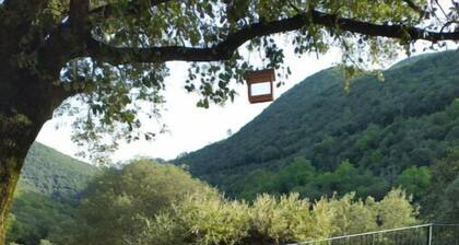 Gßte Cévennes: Piscine, lamas, riviÚre