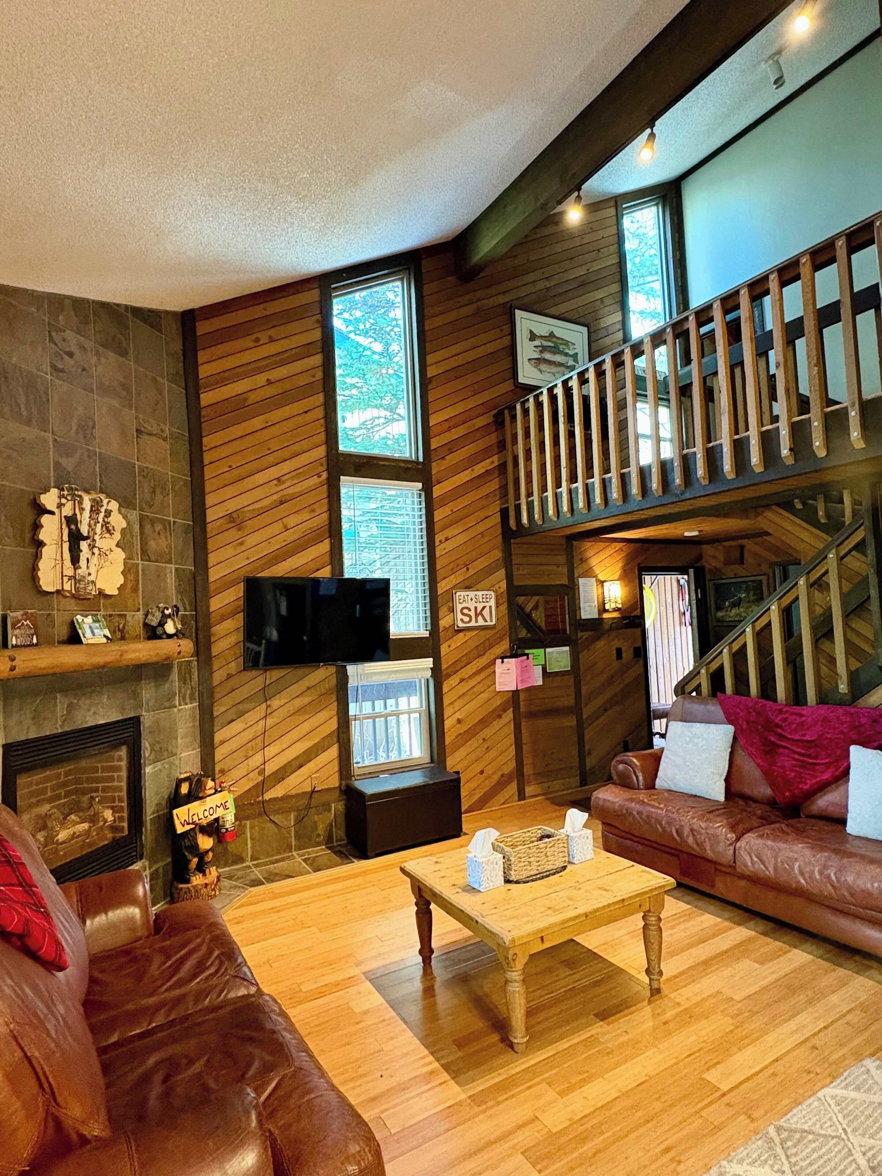 TV, fireplace, video games