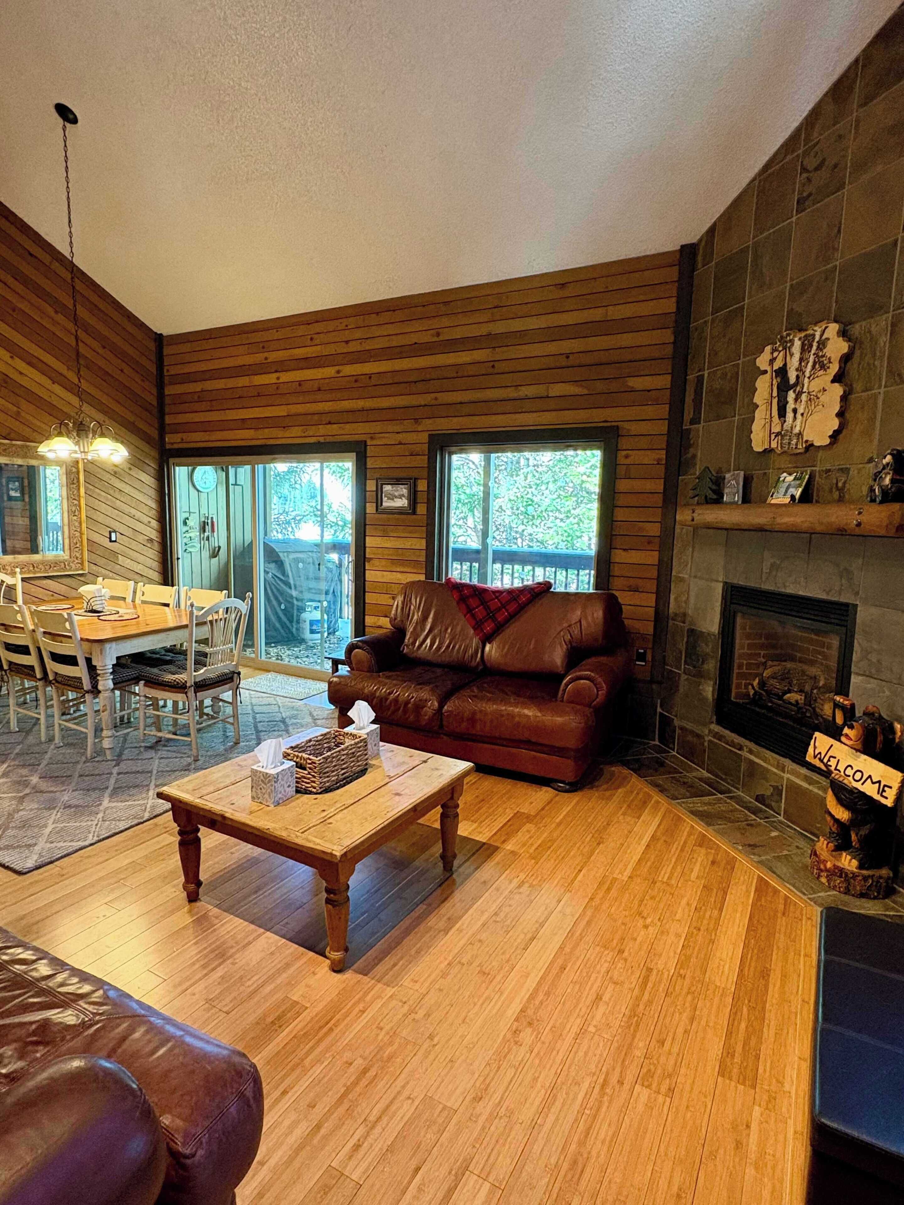 Télévision, cheminée, jeux vidéo