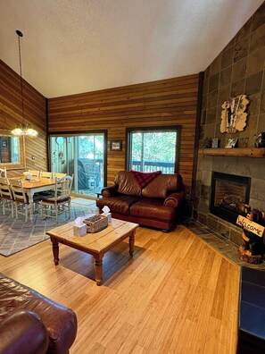 TV, fireplace, video games