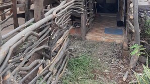 Une structure rustique en bois, dotée d’un toit de chaume, qui pourrait servir de jardin ou d’espace de détente extérieur.