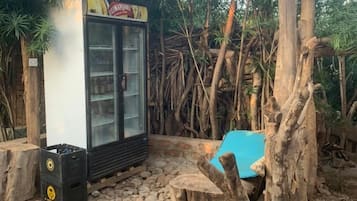 Bar (en la propiedad)