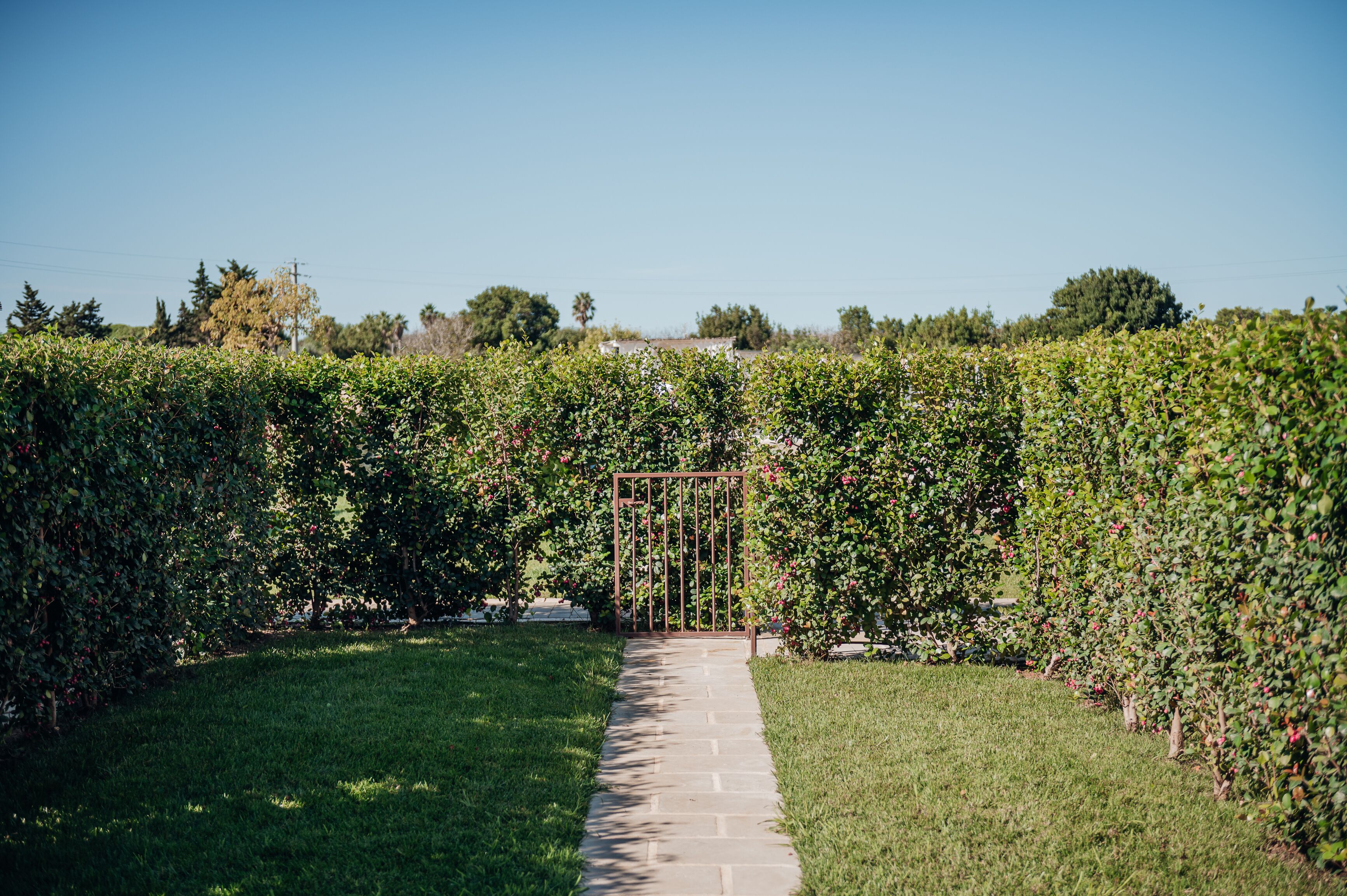 A pathway leading through a well-maintained garden with dense foliage on either side.