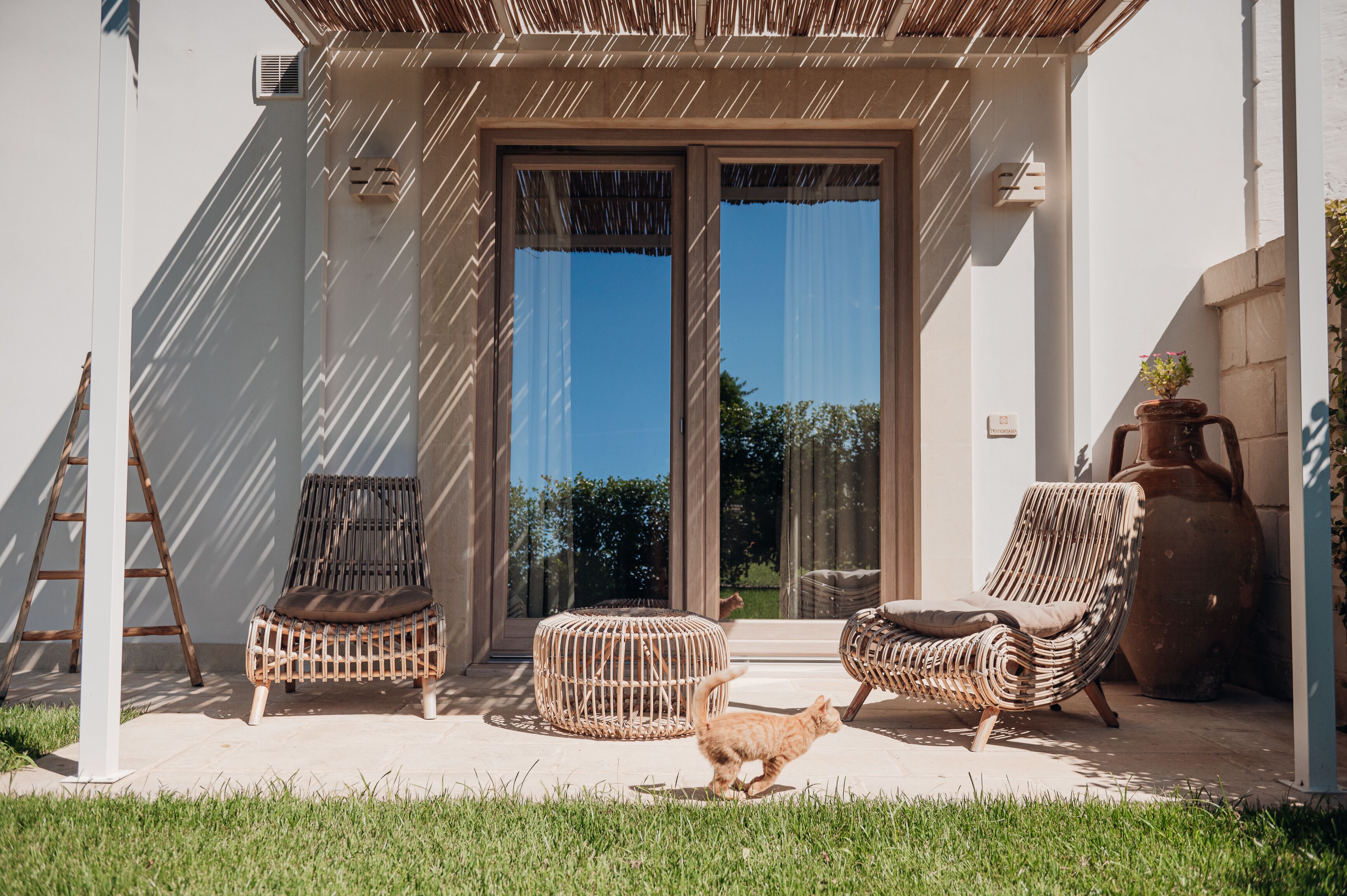 A modern outdoor seating area with wicker furniture, a cat, and a large pot.