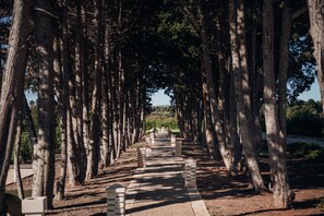 Entrada (vista interna)