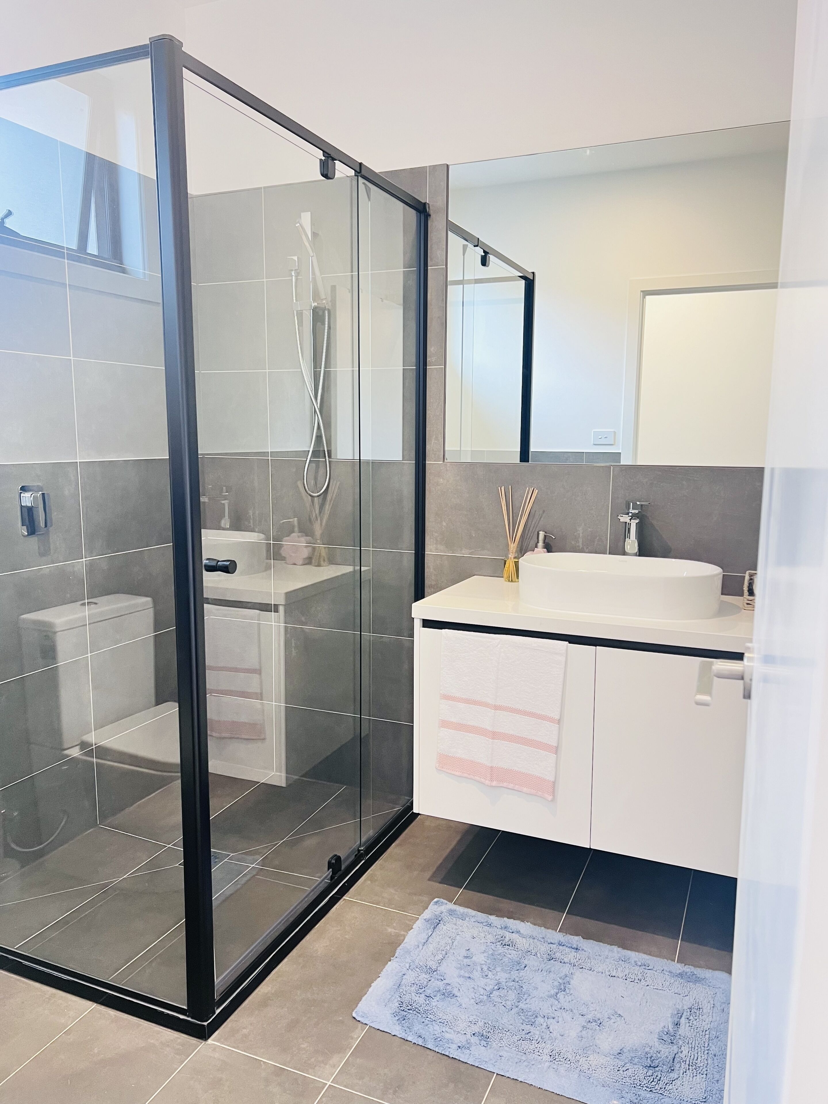 Hair dryer, towels, soap, shampoo