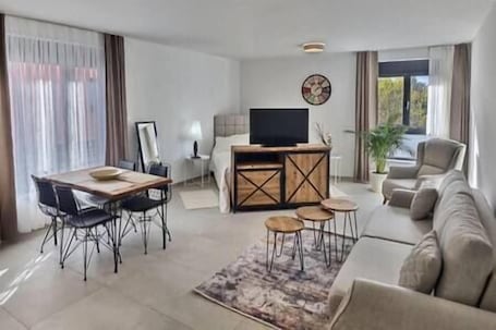 Living area. Ultra comfortable bright studio near the center of Basel