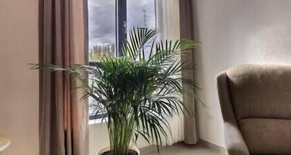 Studio ultra confort lumineux proche centre BĂąle