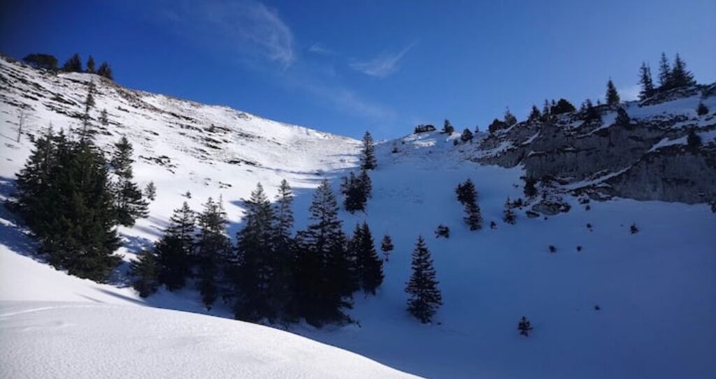 Paisagem montanhosa coberta de neve, com árvores e céu claro.