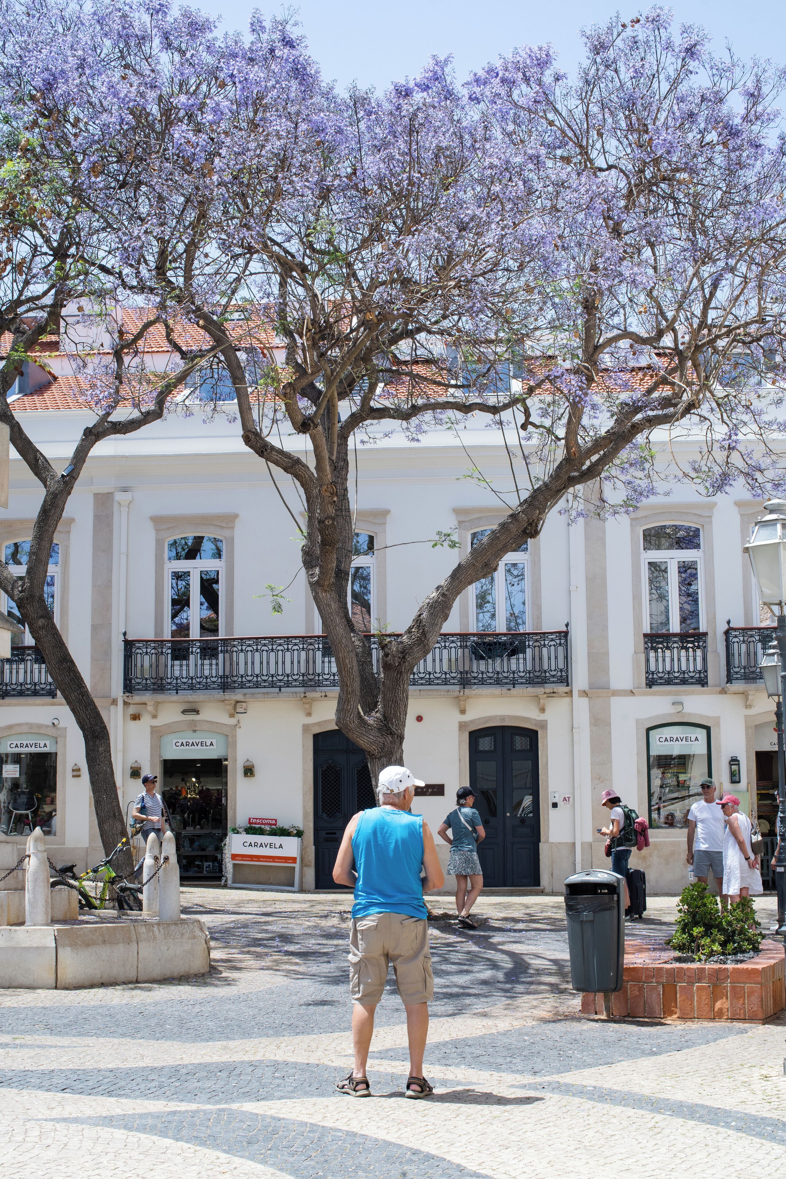 Un edificio con un gran árbol en primer plano, una plaza pavimentada y gente caminando.