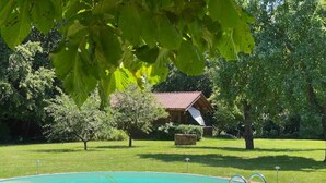 A swimming pool with a stone border, surrounded by a grassy lawn and trees.