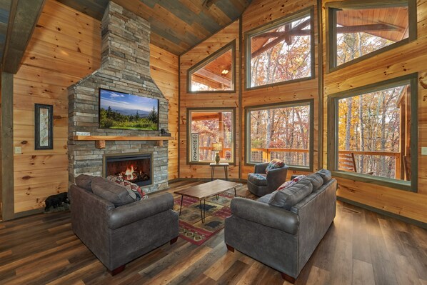 Smart-TV, Kamin, DVD-Player