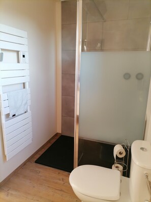 Shower, hair dryer, towels, soap