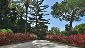 Un chemin pavé bordé de fleurs rouge vif et d’arbres imposants, qui mène à un bâtiment.