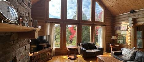 TV, fireplace, table football, stereo