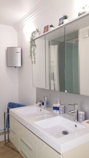 Shower, hair dryer, soap, toilet paper
