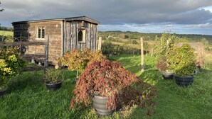 Une structure rustique en bois, dotée d’une fenêtre et d’une porte, entourée d’une zone herbeuse agrémentée de plantes en pot.