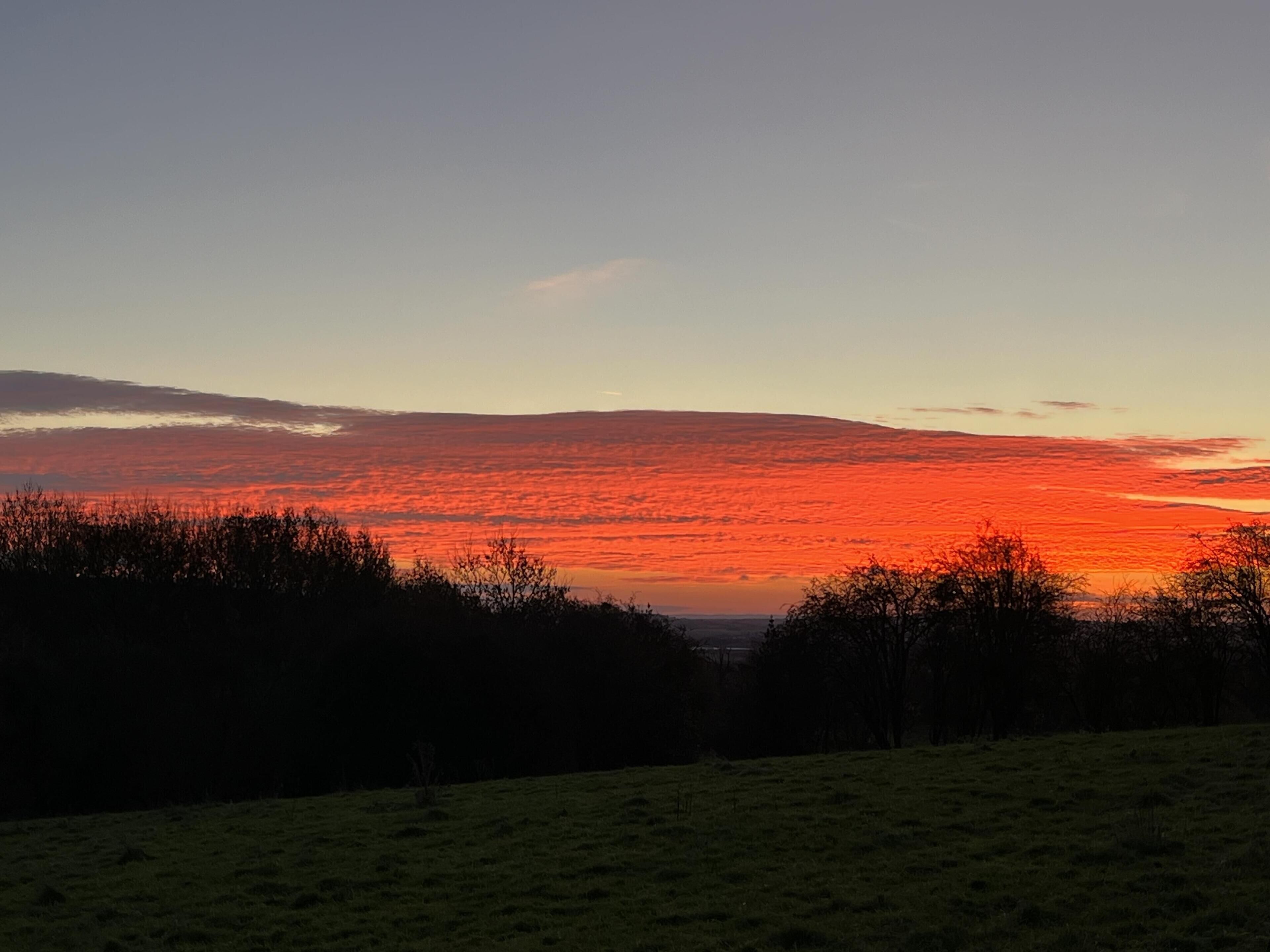 Un coucher de soleil sur un champ herbeux, avec des arbres au premier plan.