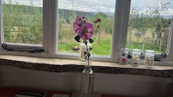 Cabin | View from property