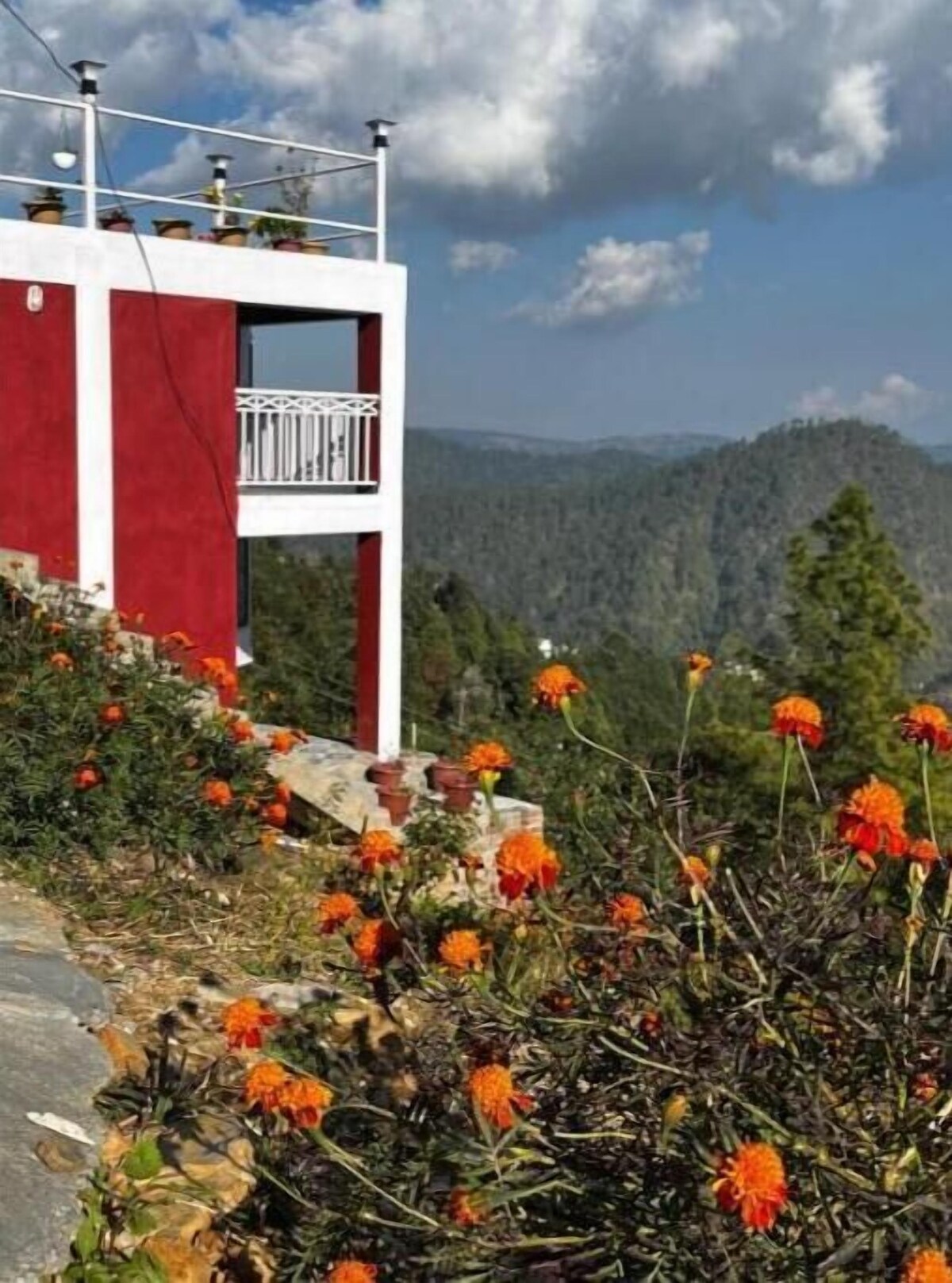 Image de profil de l’hôte