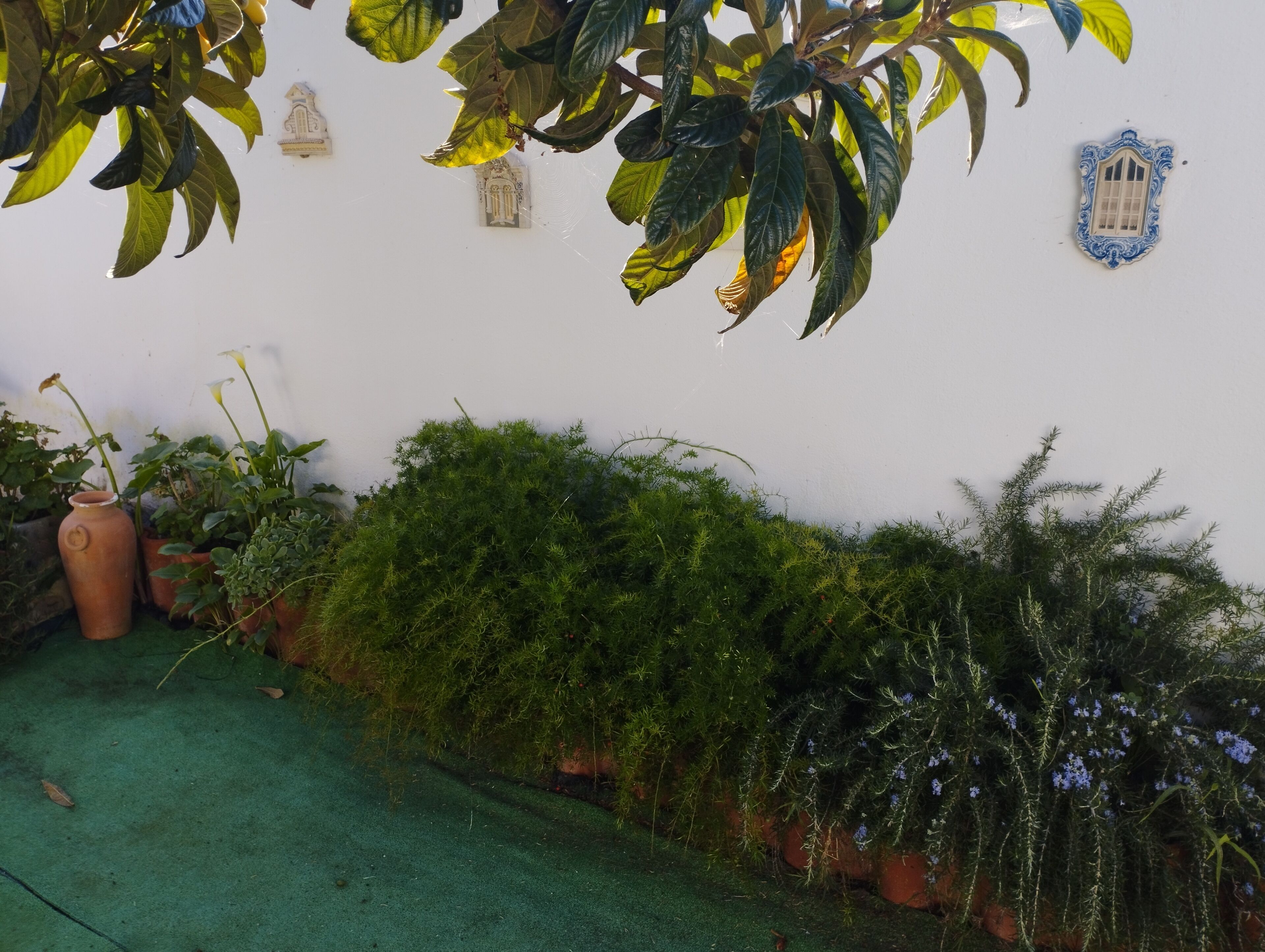 Photo - Casa Sarguito