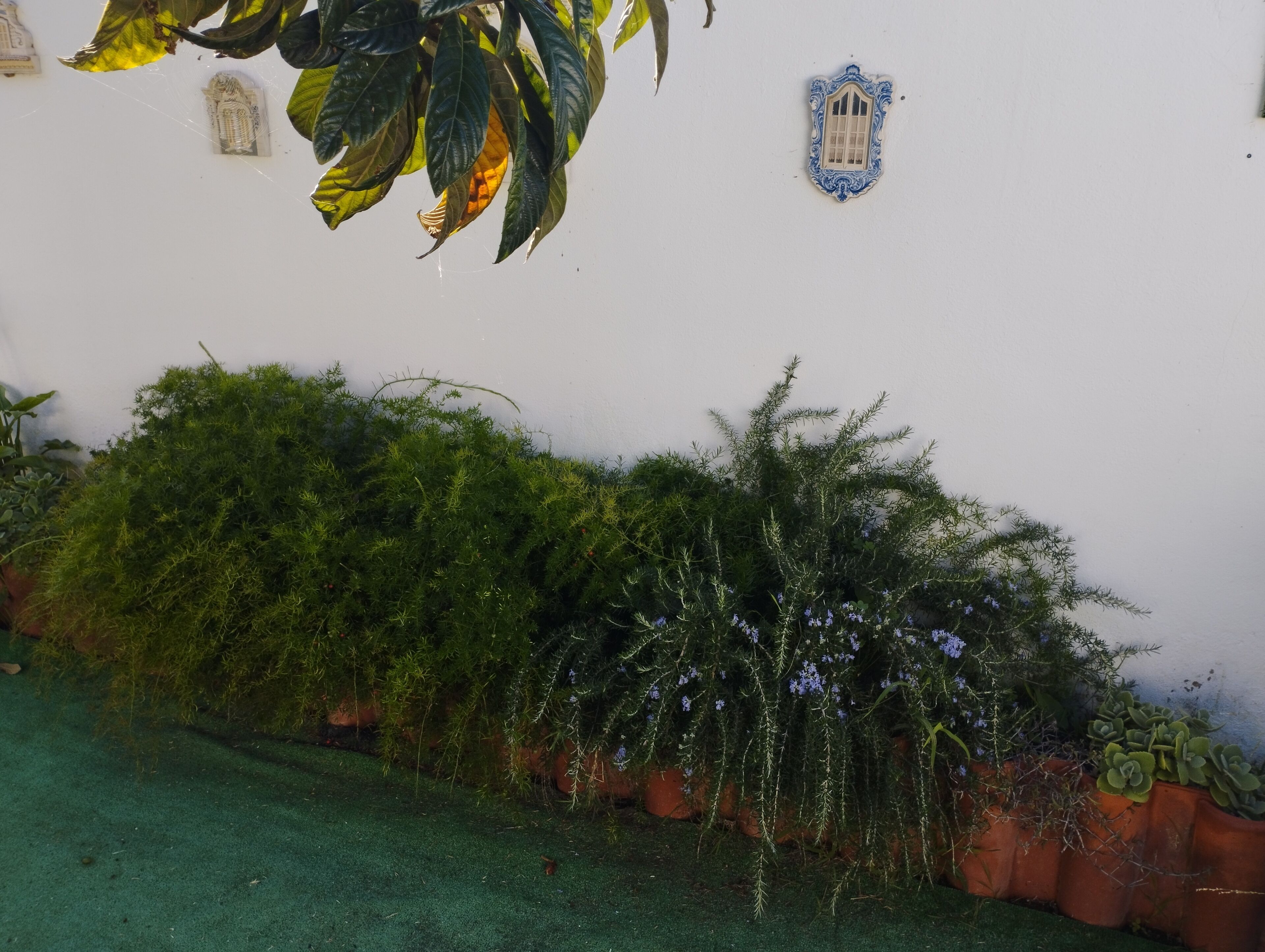 Photo - Casa Sarguito