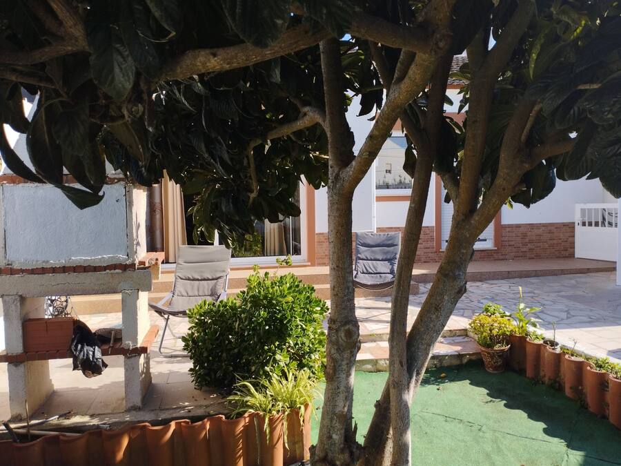 A courtyard with a seating area, potted plants, and a tree.