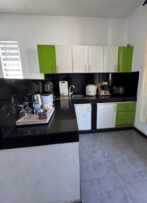 Fridge, electric kettle, toaster, blender